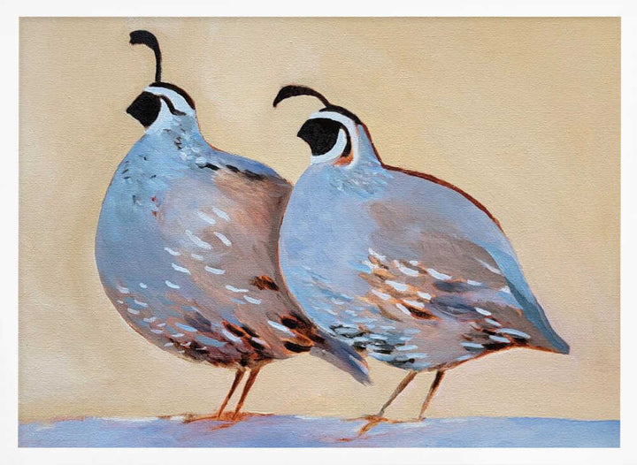 Quail 25 - Stretched Canvas, Poster or Fine Art Print - I Heart Wall Art - Poster Print, Canvas Print or Framed Art Print