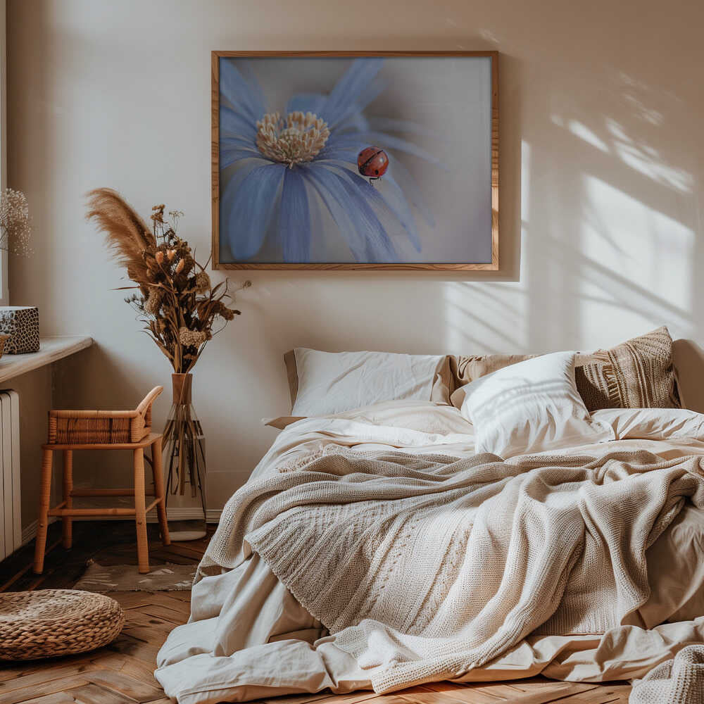 Red Ladybug Blue Flower - Floral Photographic Stretched Canvas Poster or Fine Art Print