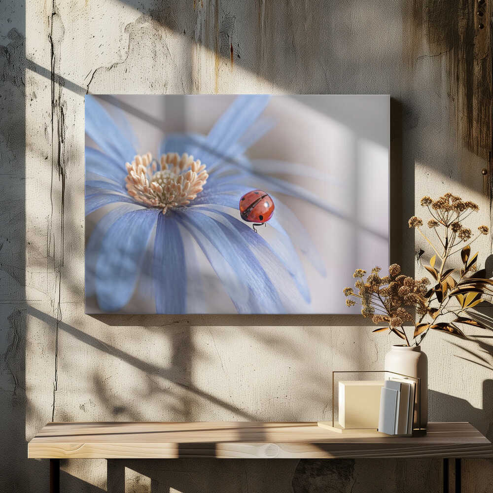 Red Ladybug Blue Flower - Floral Photographic Stretched Canvas Poster or Fine Art Print