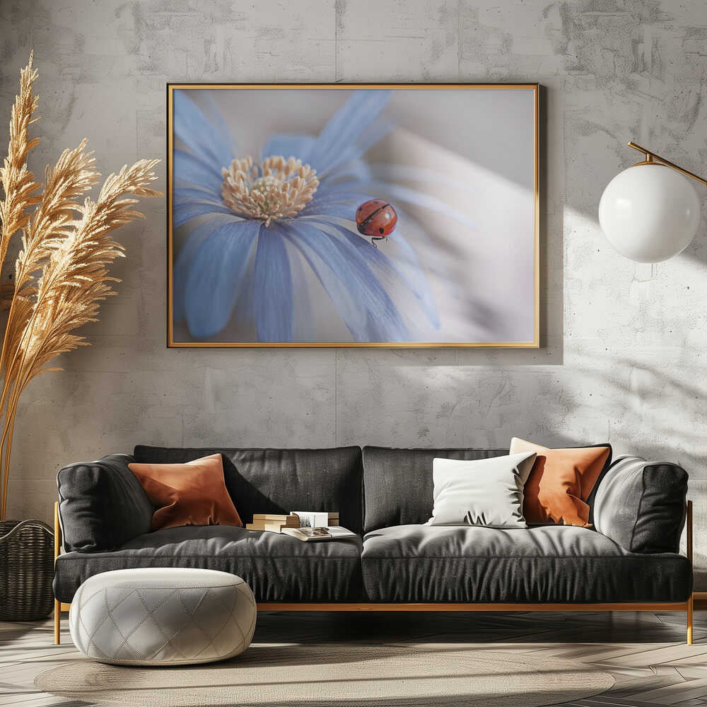 Red Ladybug Blue Flower - Floral Photographic Stretched Canvas Poster or Fine Art Print