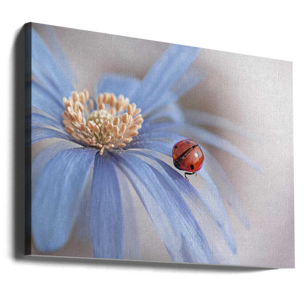 Red Ladybug Blue Flower - Floral Photographic Stretched Canvas Poster or Fine Art Print