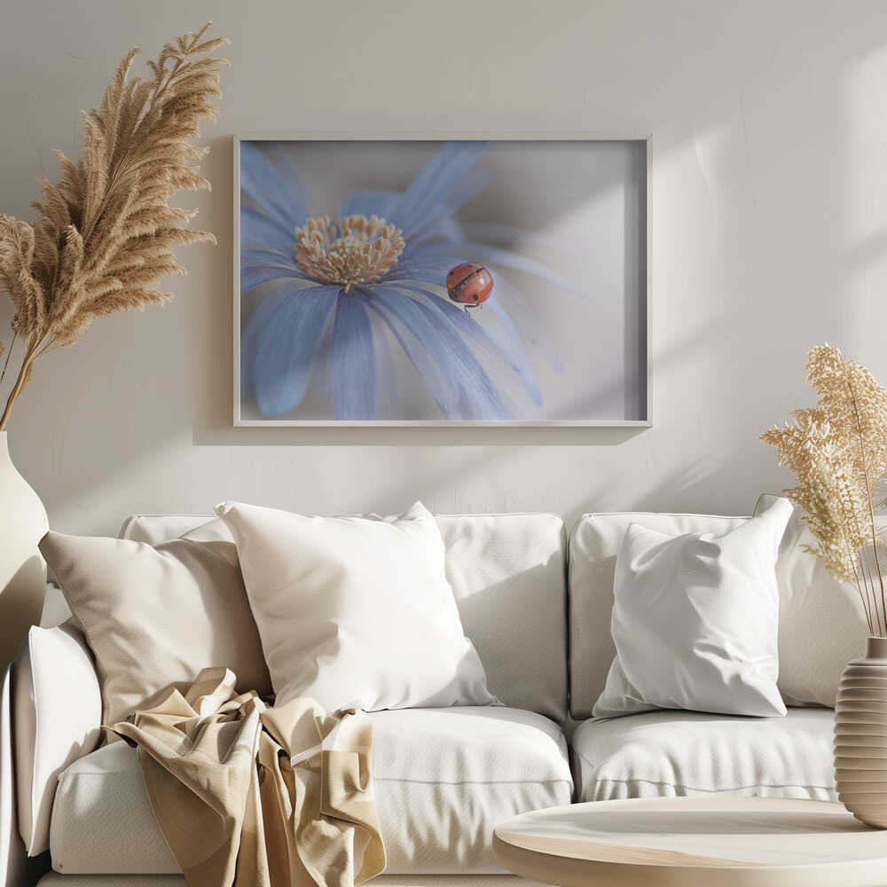Red Ladybug Blue Flower - Floral Photographic Stretched Canvas Poster or Fine Art Print