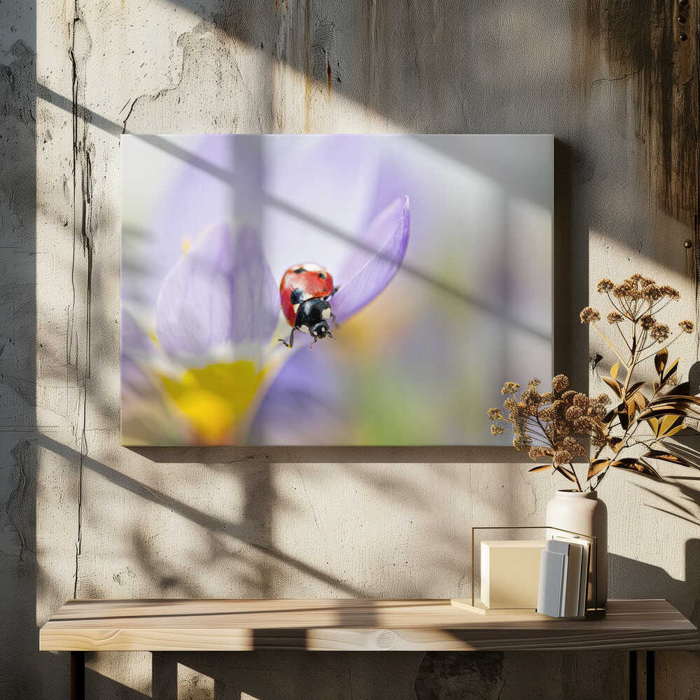 Red Ladybug on Crocus Bloom - Floral Photographic Stretched Canvas Poster or Fine Art Print