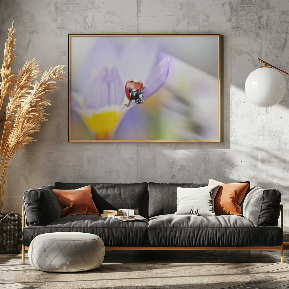 Red Ladybug on Crocus Bloom - Floral Photographic Stretched Canvas Poster or Fine Art Print