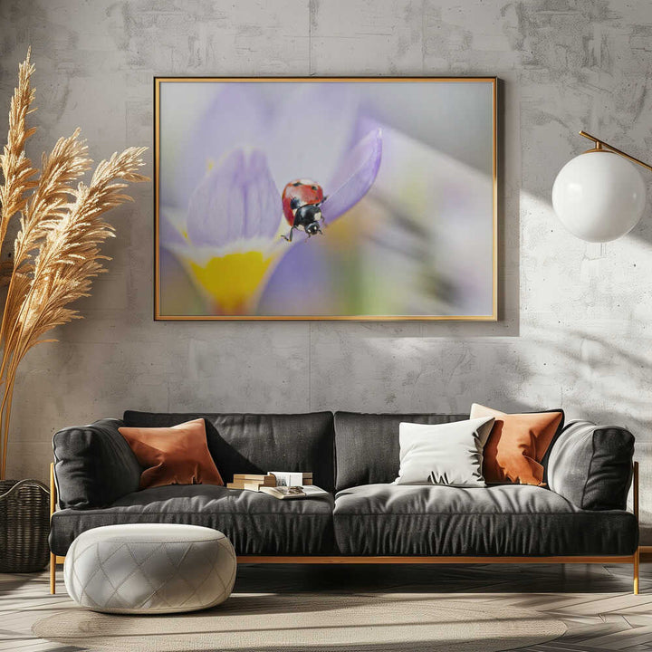 Red Ladybug on Crocus Bloom - Floral Photographic Stretched Canvas Poster or Fine Art Print