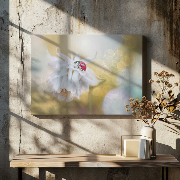 Red Ladybug White Bloom - Floral Photographic Stretched Canvas Poster or Fine Art Print