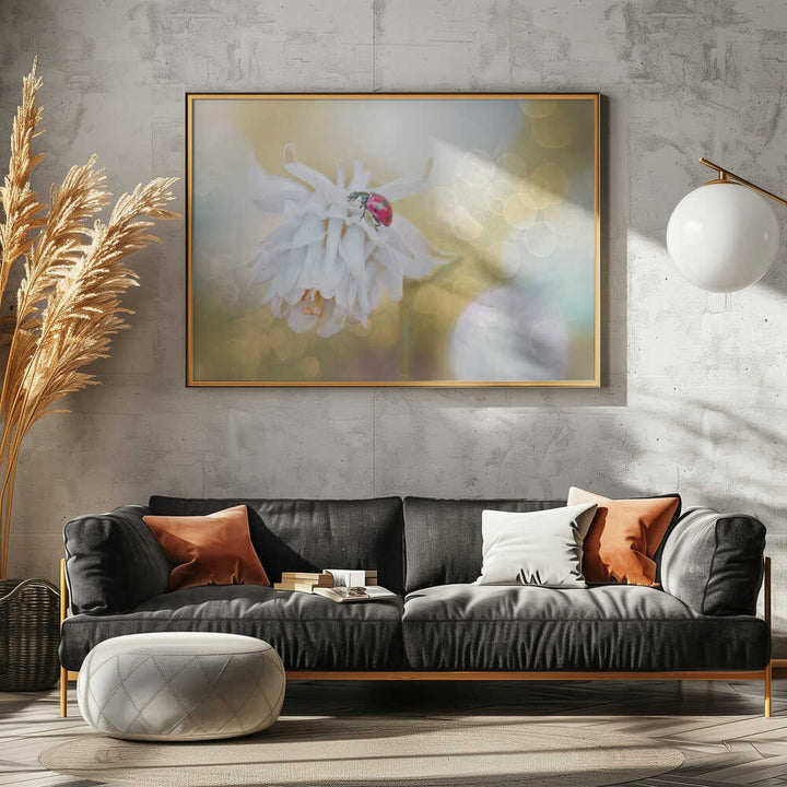 Red Ladybug White Bloom - Floral Photographic Stretched Canvas Poster or Fine Art Print