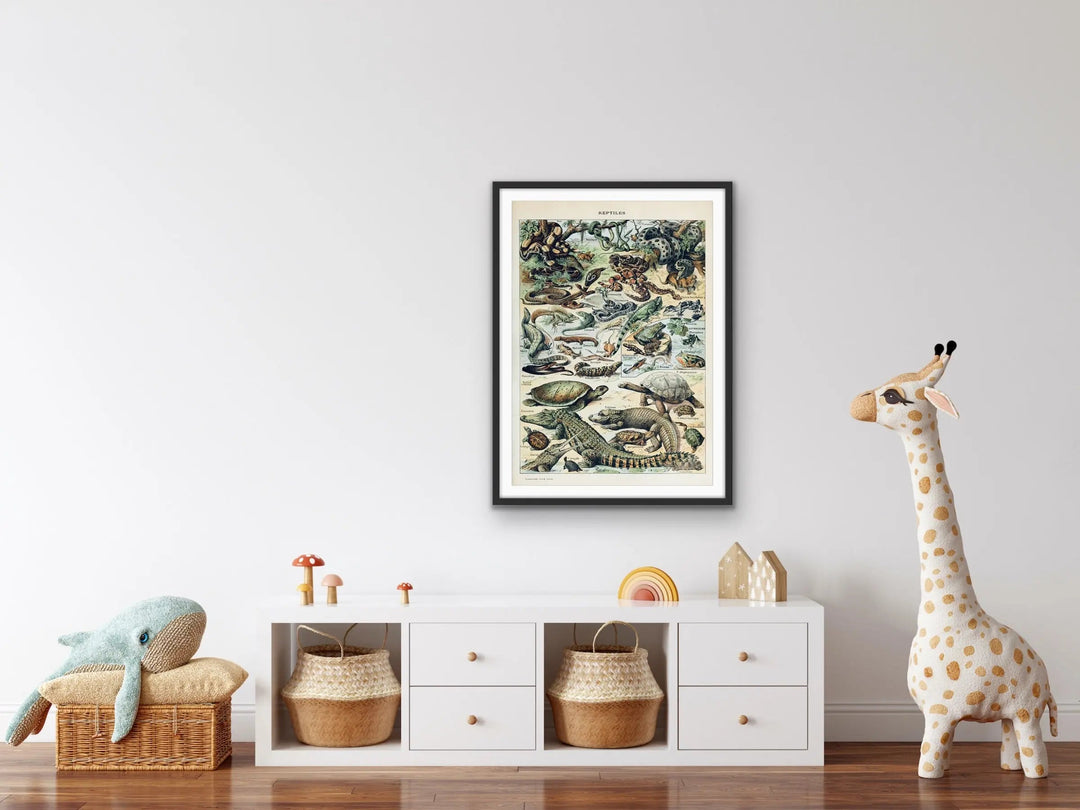 Reptiles Vintage Scientific Chart - Stretched Canvas Print or Framed Fine Art Print - Artwork I Heart Wall Art Australia