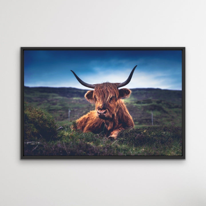 Resting Highlander - Highland Cow Landscape Framed Canvas Print Wall Art Print - I Heart Wall Art