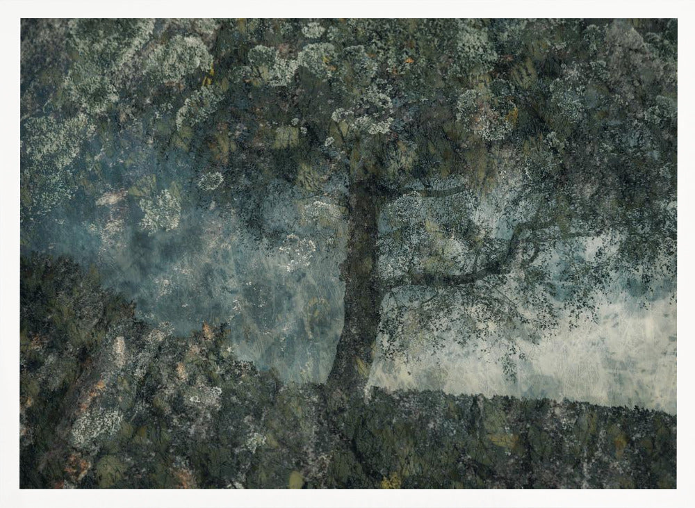 Rocks and a tree - Stretched Canvas, Poster or Fine Art Print I Heart Wall Art
