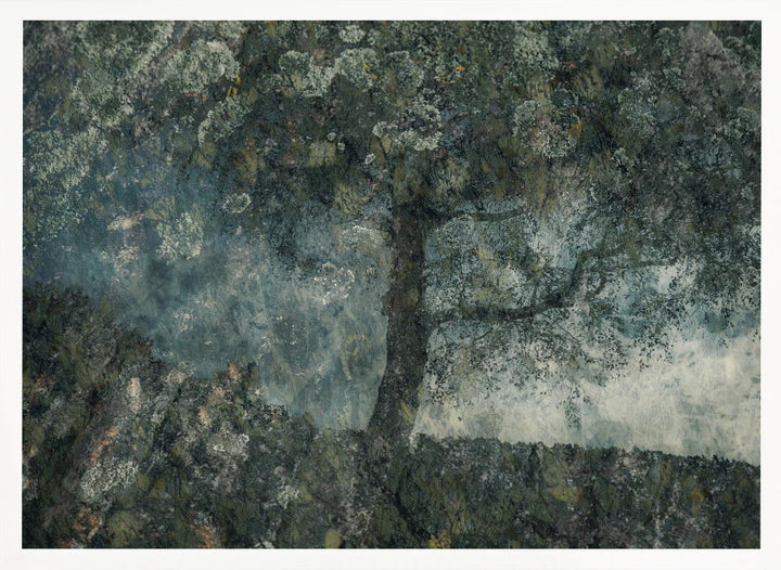 Rocks and a tree - Stretched Canvas, Poster or Fine Art Print I Heart Wall Art