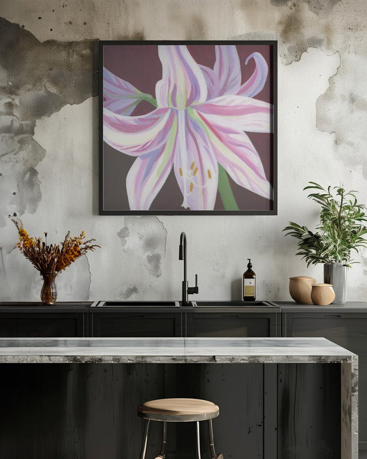 Rosa Amaryllis - Square Stretched Canvas, Poster or Fine Art Print - I Heart Wall Art - Poster Print, Canvas Print or Framed Art Print
