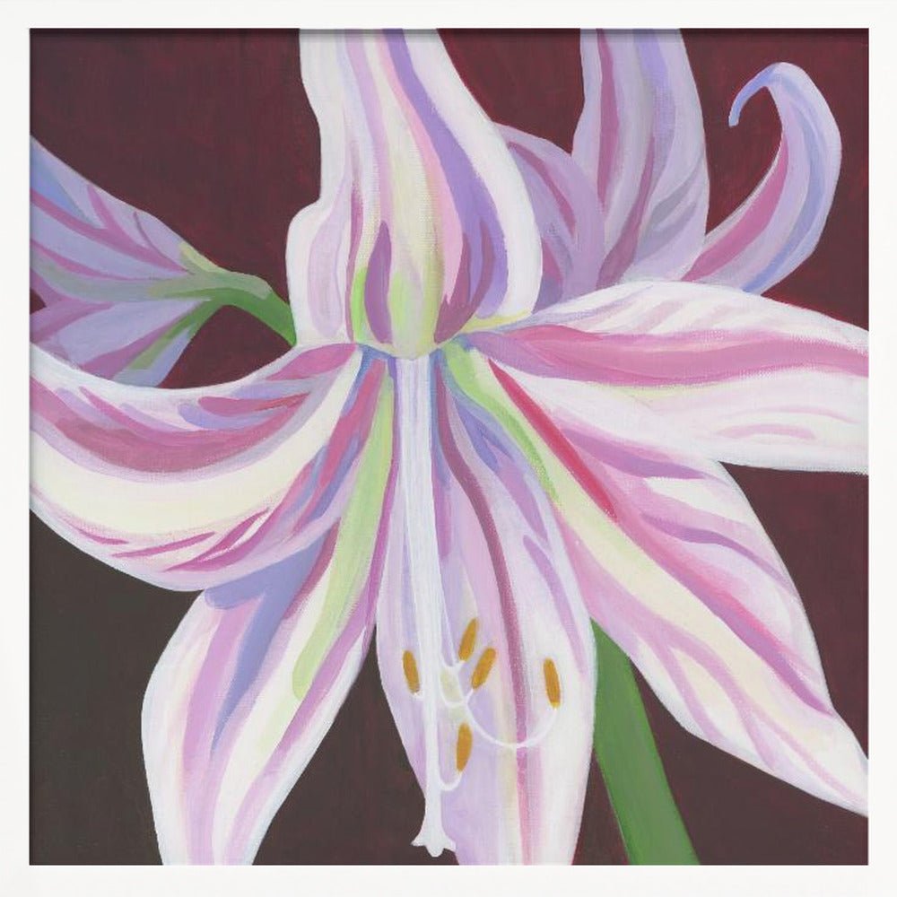 Rosa Amaryllis - Square Stretched Canvas, Poster or Fine Art Print - I Heart Wall Art - Poster Print, Canvas Print or Framed Art Print
