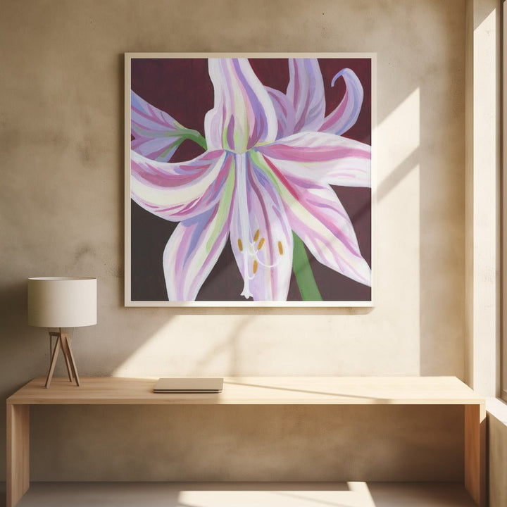 Rosa Amaryllis - Square Stretched Canvas, Poster or Fine Art Print - I Heart Wall Art - Poster Print, Canvas Print or Framed Art Print