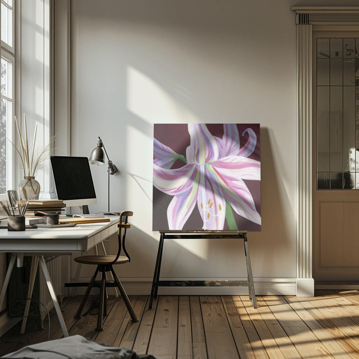 Rosa Amaryllis - Square Stretched Canvas, Poster or Fine Art Print - I Heart Wall Art - Poster Print, Canvas Print or Framed Art Print
