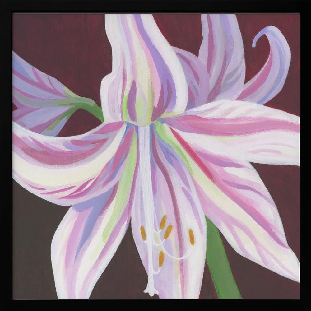 Rosa Amaryllis - Square Stretched Canvas, Poster or Fine Art Print - I Heart Wall Art - Poster Print, Canvas Print or Framed Art Print