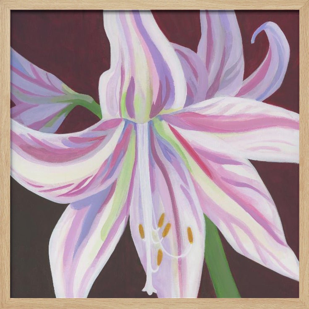 Rosa Amaryllis - Square Stretched Canvas, Poster or Fine Art Print - I Heart Wall Art - Poster Print, Canvas Print or Framed Art Print