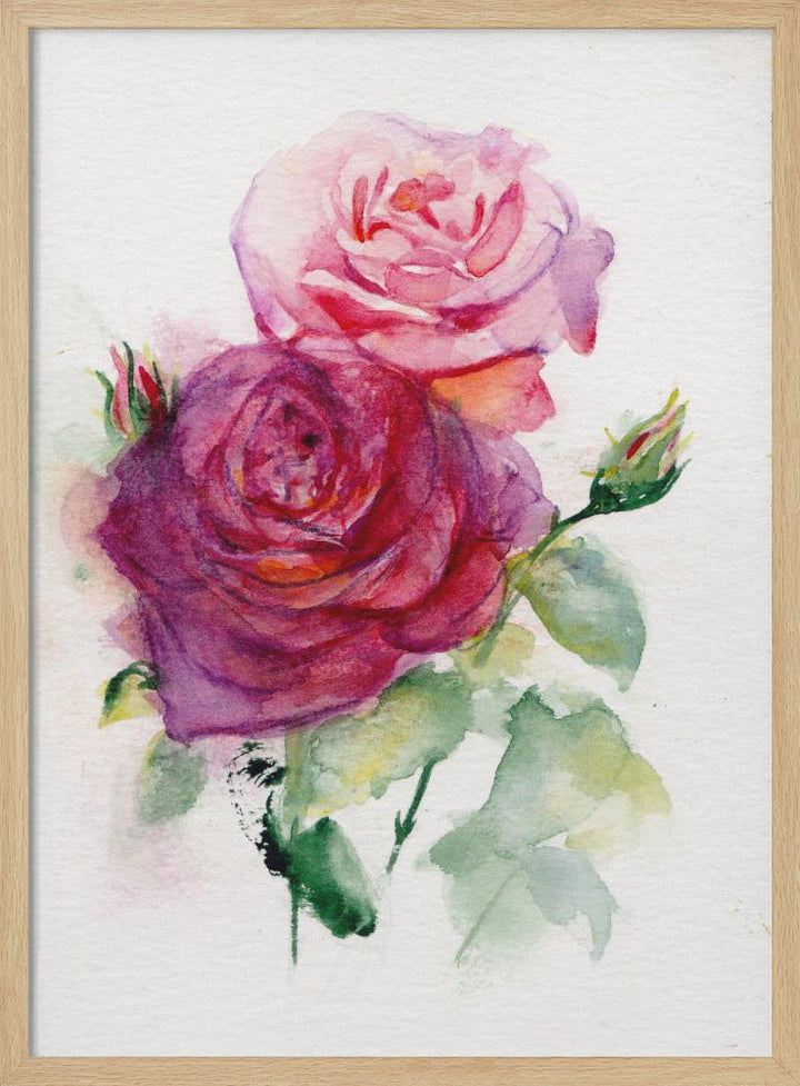 Rose June - Stretched Canvas, Poster or Fine Art Print I Heart Wall Art