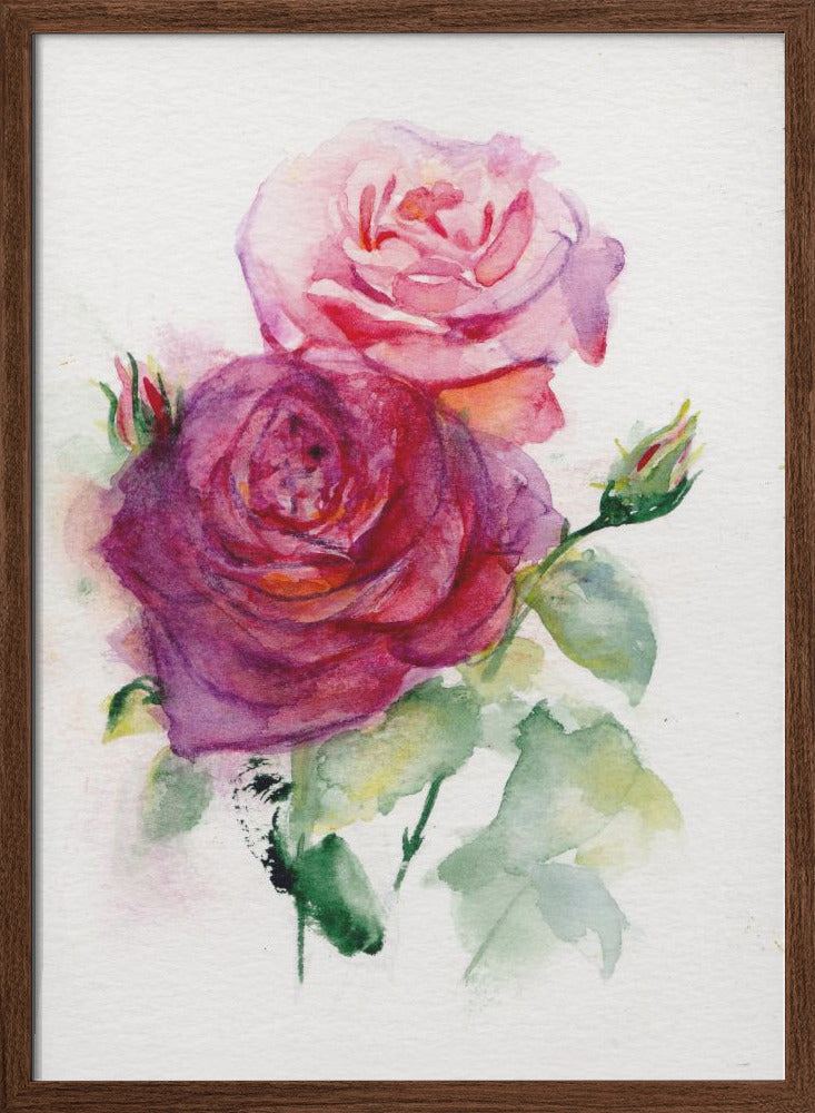 Rose June - Stretched Canvas, Poster or Fine Art Print I Heart Wall Art