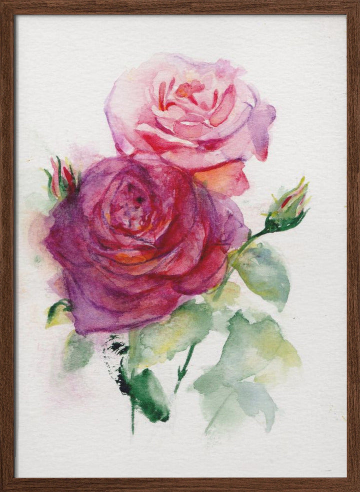 Rose June - Stretched Canvas, Poster or Fine Art Print I Heart Wall Art