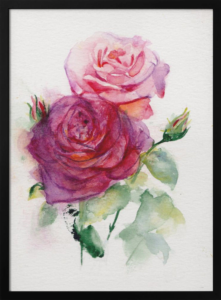 Rose June - Stretched Canvas, Poster or Fine Art Print I Heart Wall Art