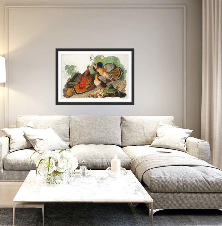 Ruffled Grouse by John James Audubon - American Natural History Stretched Canvas or Art Print