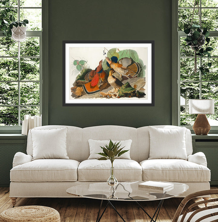Ruffled Grouse by John James Audubon - American Natural History Stretched Canvas or Art Print