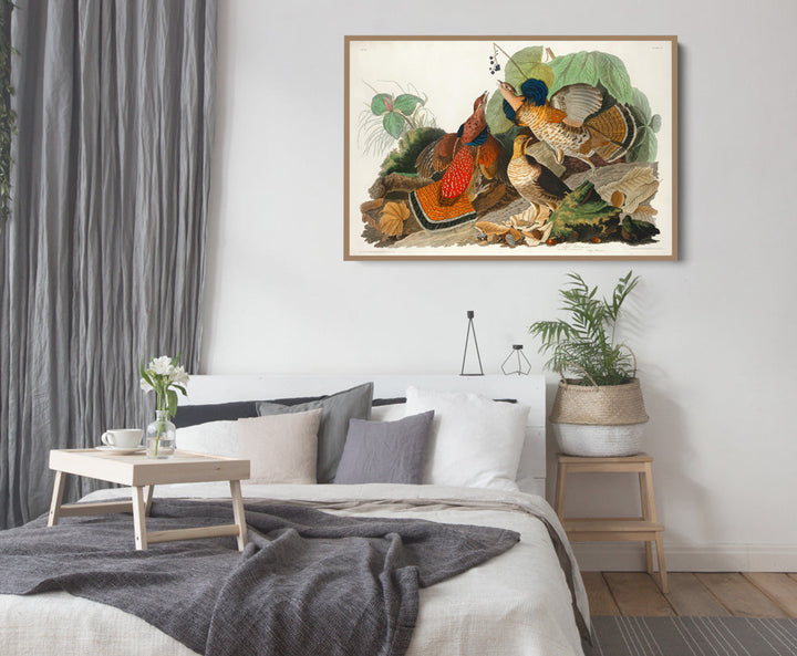 Ruffled Grouse by John James Audubon - American Natural History Stretched Canvas or Art Print