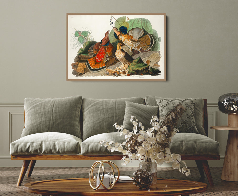 Ruffled Grouse by John James Audubon - American Natural History Stretched Canvas or Art Print