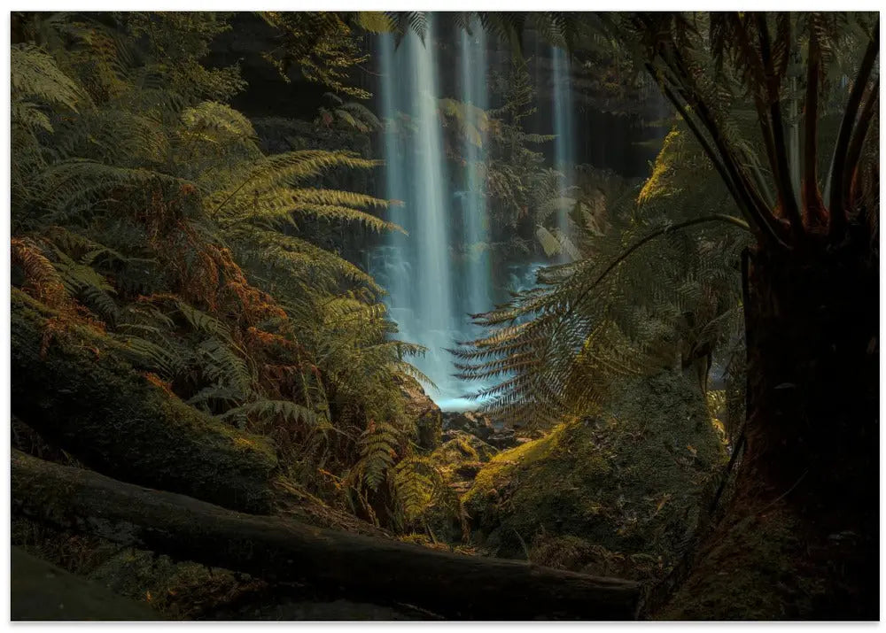 Russel falls, Tasmania - Stretched Canvas, Poster or Fine Art Print I Heart Wall Art