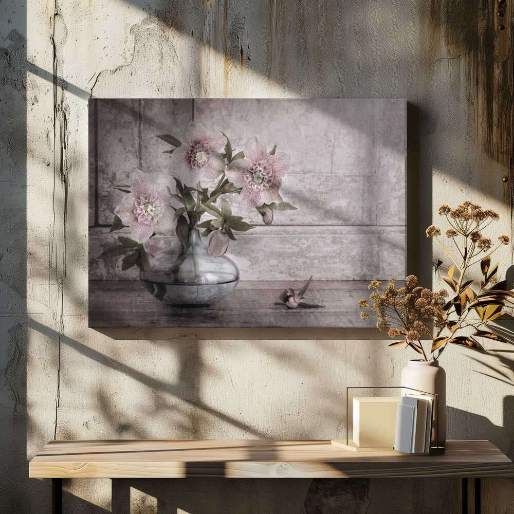 Rustic Hellebore Still Life - Floral Photographic Stretched Canvas Poster or Fine Art Print