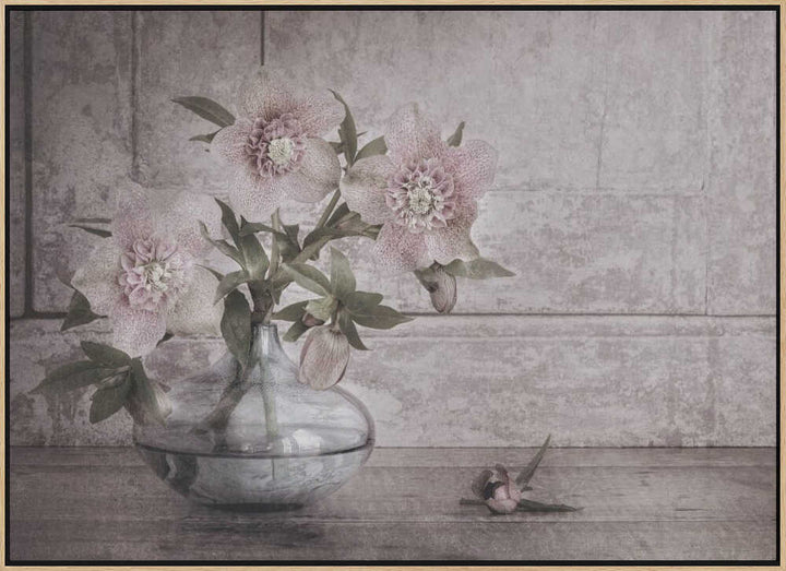 Rustic Hellebore Still Life - Floral Photographic Stretched Canvas Poster or Fine Art Print