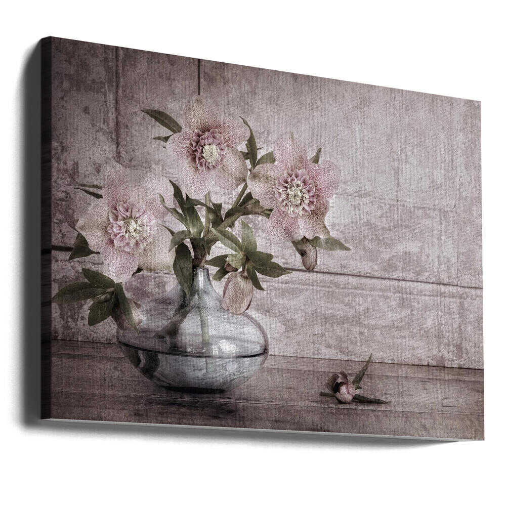 Rustic Hellebore Still Life - Floral Photographic Stretched Canvas Poster or Fine Art Print