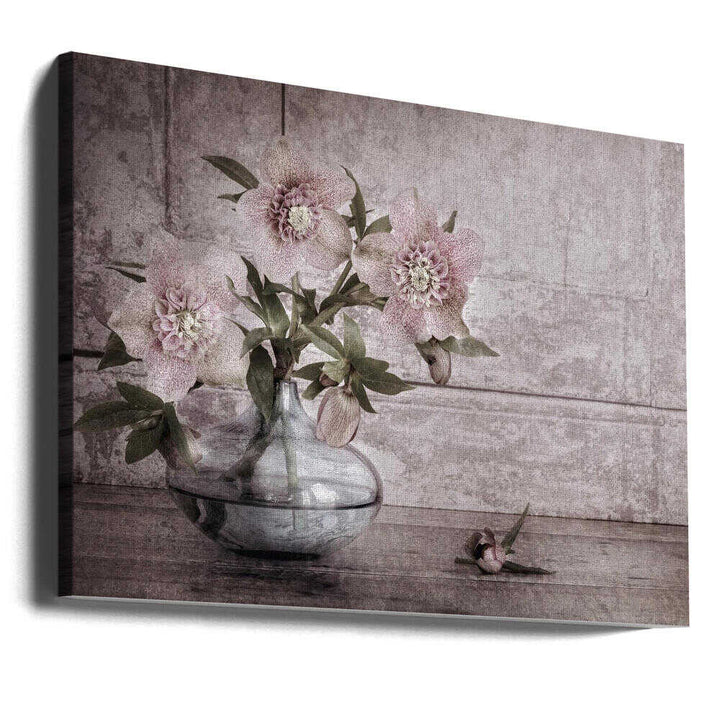 Rustic Hellebore Still Life - Floral Photographic Stretched Canvas Poster or Fine Art Print