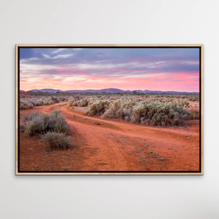 Saltbush- Australian Outback Landscape Photographic Print - I Heart Wall Art