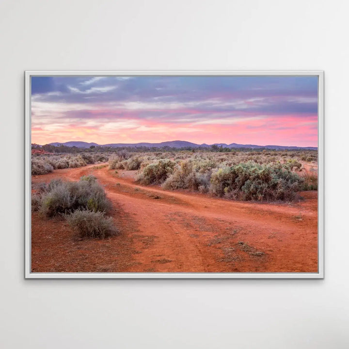 Saltbush- Australian Outback Landscape Photographic Print - I Heart Wall Art