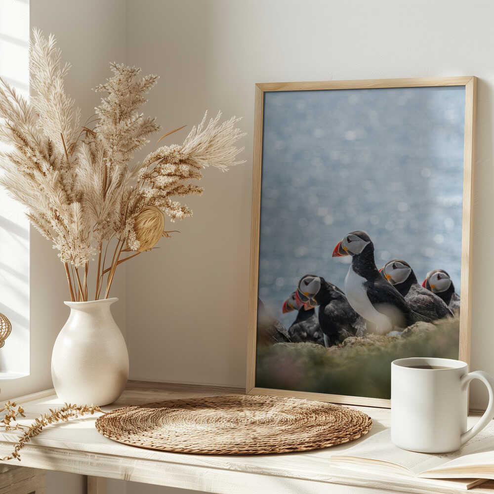 Scottish Puffins - Stretched Canvas, Poster or Fine Art Print - I Heart Wall Art - Poster Print, Canvas Print or Framed Art Print