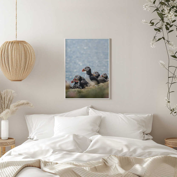 Scottish Puffins - Stretched Canvas, Poster or Fine Art Print - I Heart Wall Art - Poster Print, Canvas Print or Framed Art Print