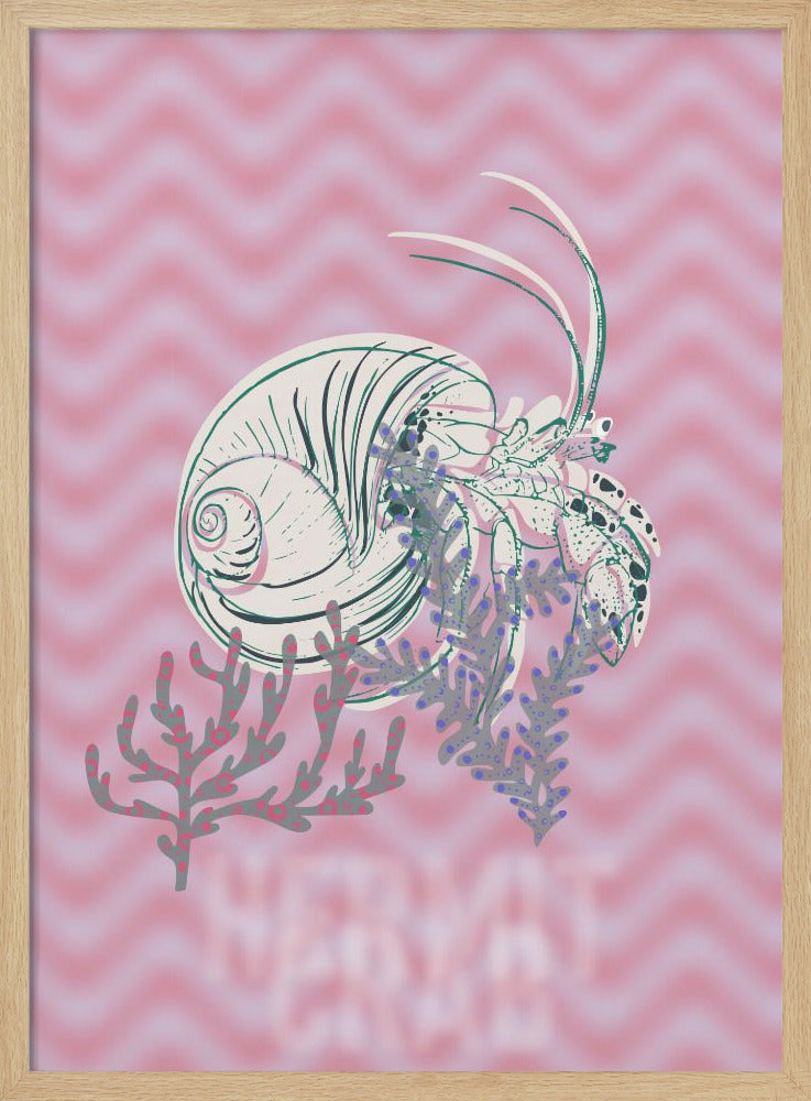 Sea life hermit crab Neptune&amp;
