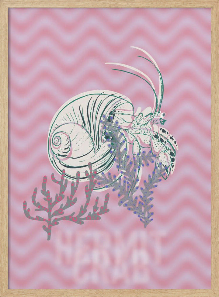 Sea life hermit crab Neptune&amp;
