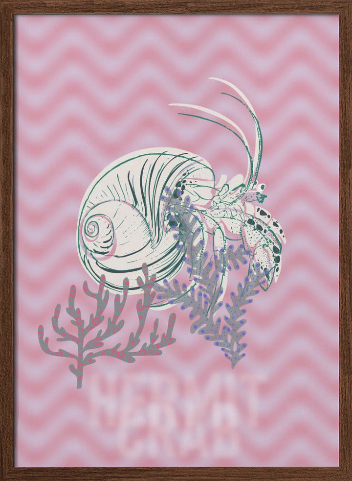 Sea life hermit crab Neptune&amp;