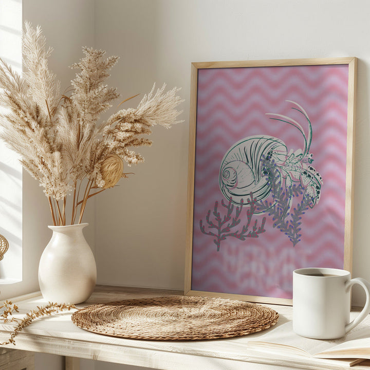 Sea life hermit crab Neptune&amp;