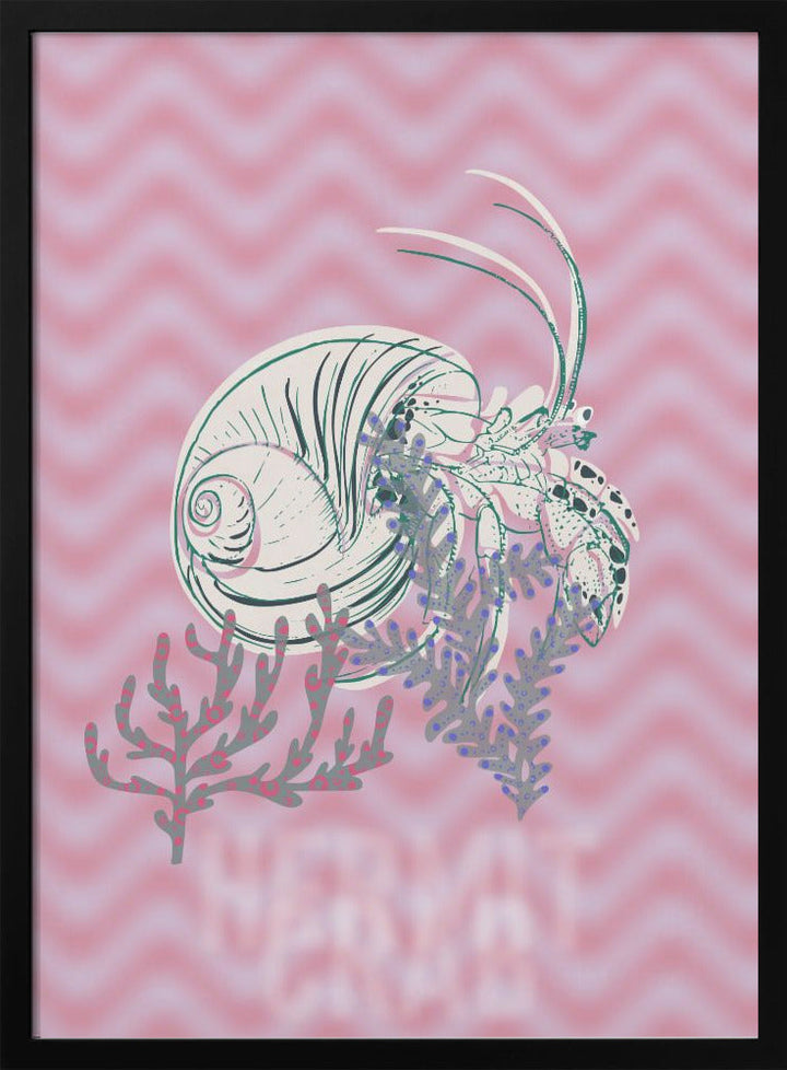 Sea life hermit crab Neptune&amp;