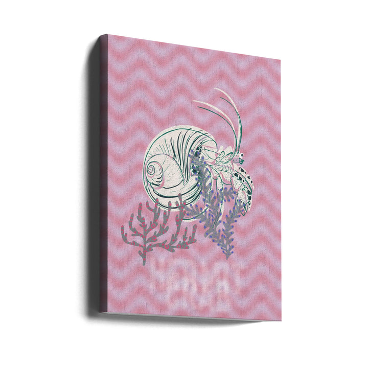 Sea life hermit crab Neptune&amp;
