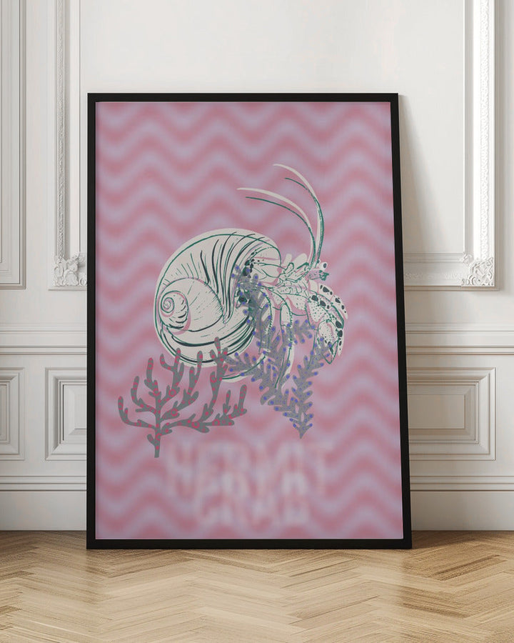 Sea life hermit crab Neptune&amp;