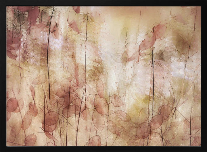 Seed pods - Stretched Canvas, Poster or Fine Art Print I Heart Wall Art