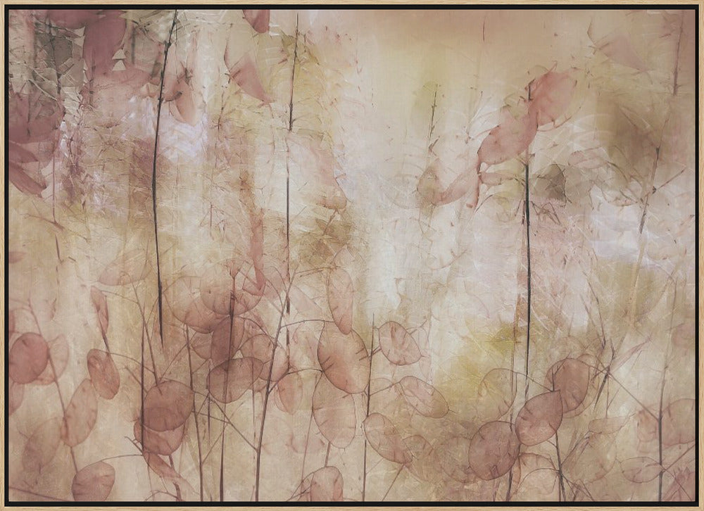 Seed pods - Stretched Canvas, Poster or Fine Art Print I Heart Wall Art