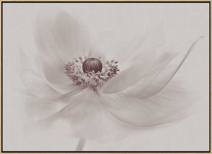 Serene Floral Beauty - Photographic Stretched Canvas Poster or Fine Art Print
