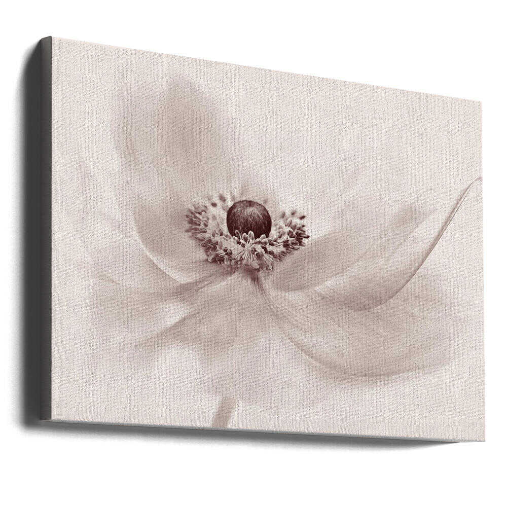 Serene Floral Beauty - Photographic Stretched Canvas Poster or Fine Art Print