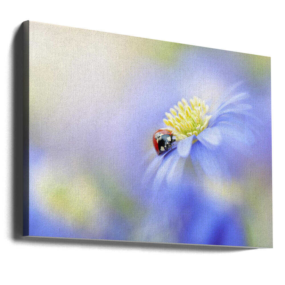 Serene Ladybug Flower - Floral Photographic Stretched Canvas Poster or Fine Art Print